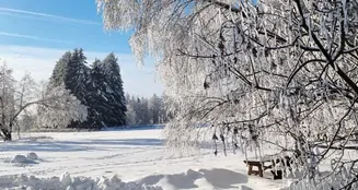 von_poll_real_estate_property_25332015_image_3