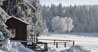 von_poll_real_estate_property_25332015_image_2