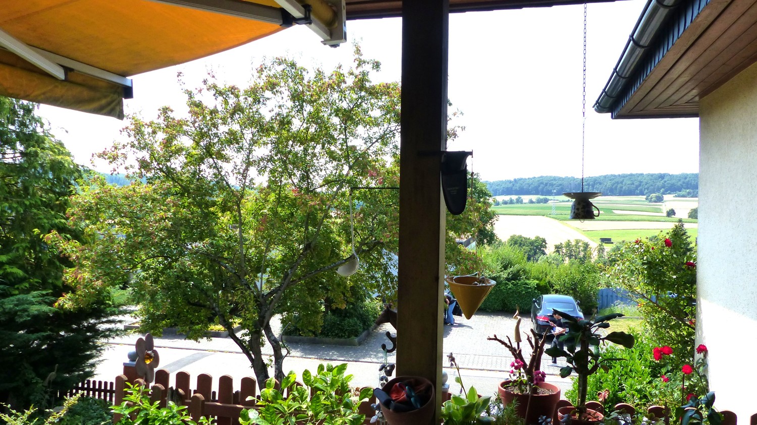 Weitblick