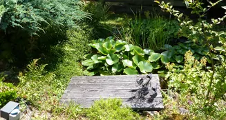 von_poll_real_estate_property_25332014_image_14