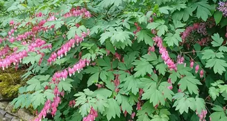 von_poll_real_estate_property_25332017_image_13