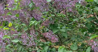 von_poll_real_estate_property_25332017_image_12