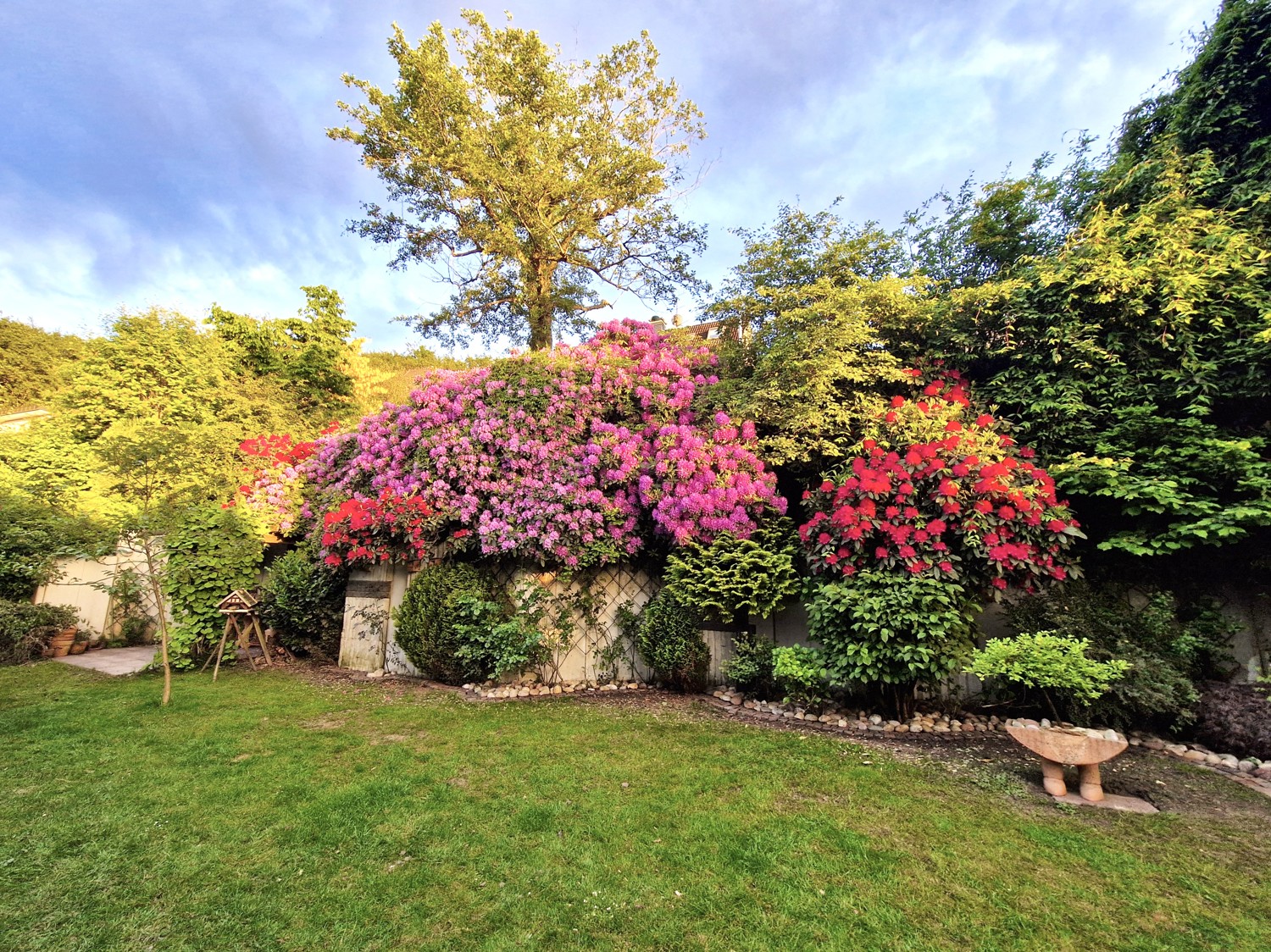 Garten im Sommer