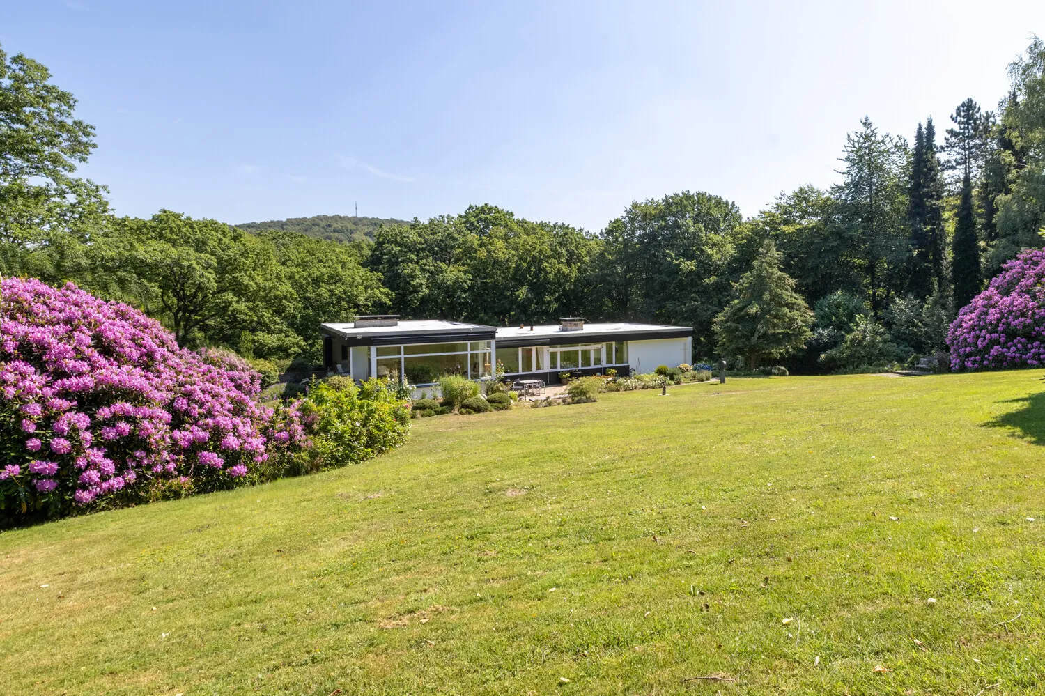 Hausansicht Garten