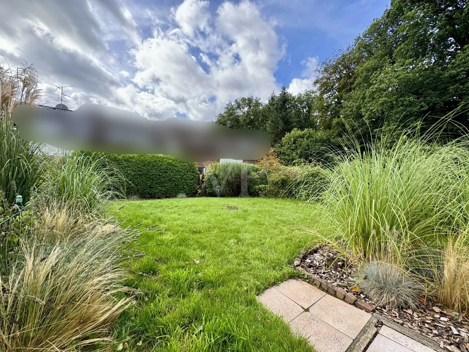 Blick in den Garten