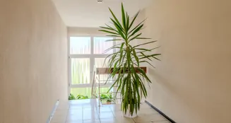 von_poll_real_estate_property_25364023_image_8