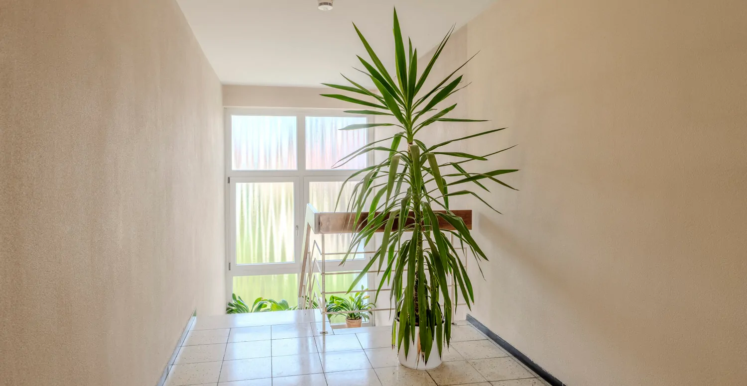 Helles und äusserst gepflegtes Treppenhaus