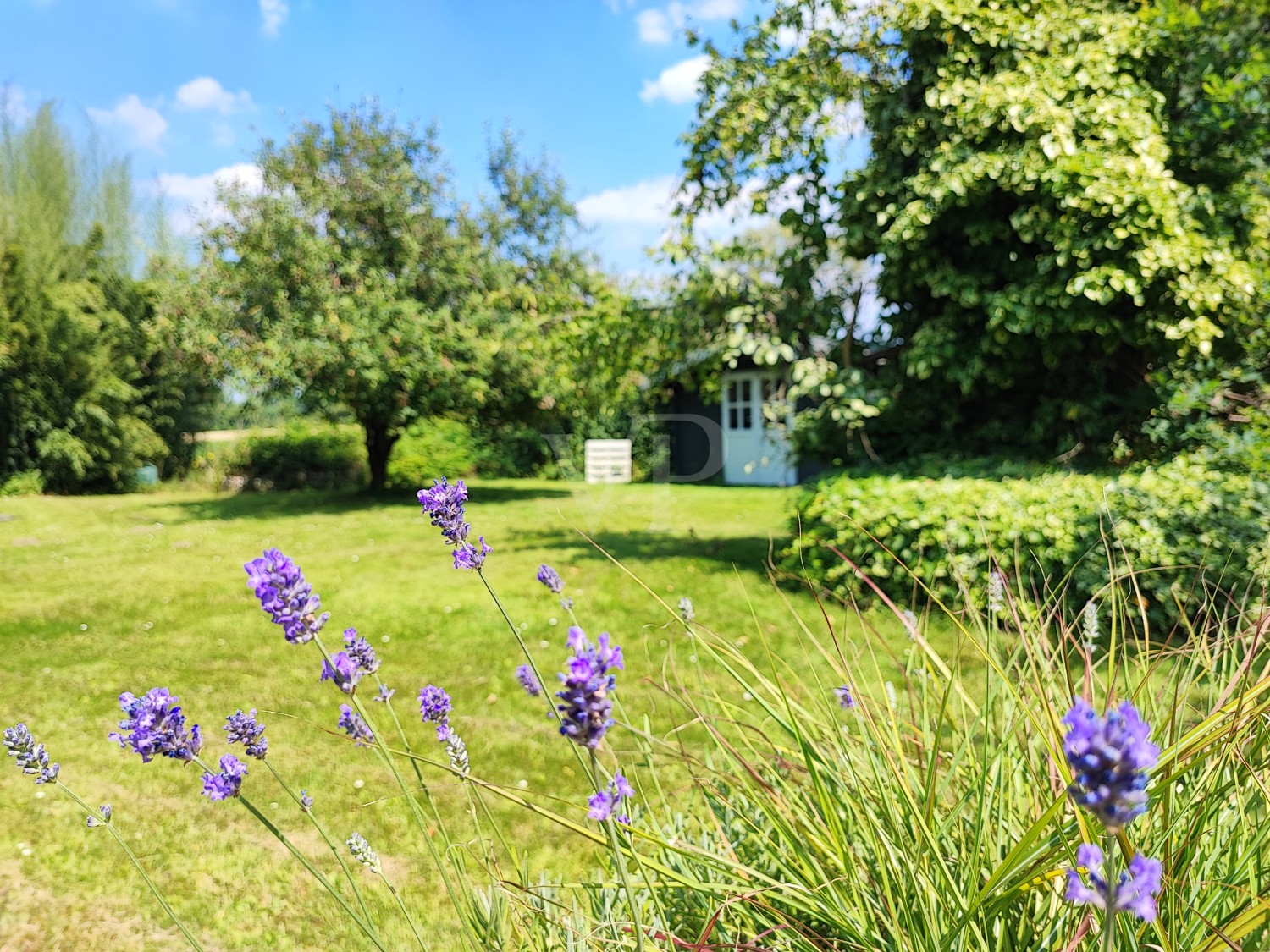 Gartenhaus im vorderen Bereich