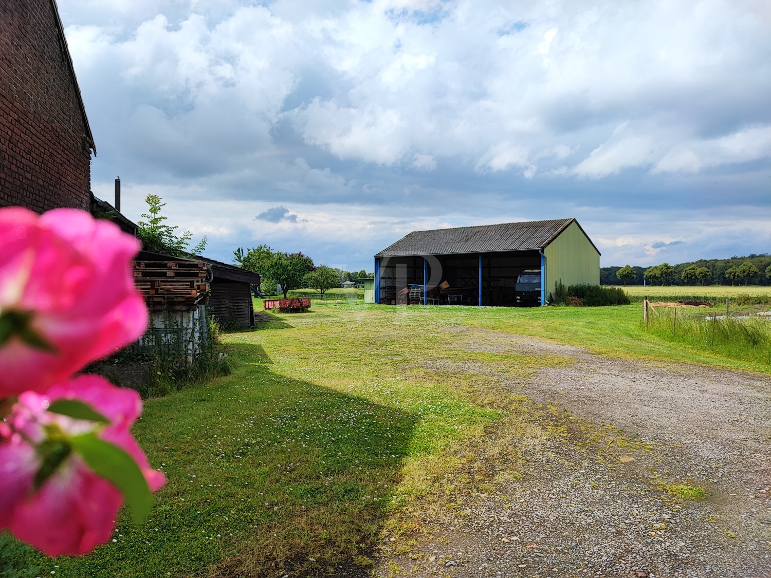 Blick in den Garten mit Schlepphalle