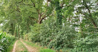 von_poll_real_estate_property_24452021_image_4