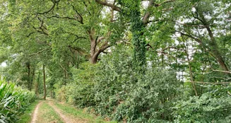 von_poll_real_estate_property_24452021_image_4