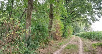 von_poll_real_estate_property_24452021_image_6