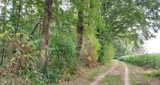 von_poll_real_estate_property_24452021_image_6