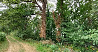 von_poll_real_estate_property_24452021_image_2