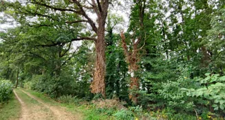 von_poll_real_estate_property_24452021_image_2