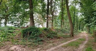 von_poll_real_estate_property_24452021_image_0