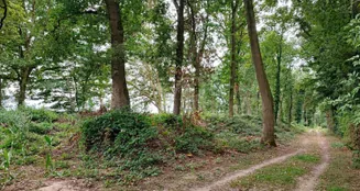 von_poll_real_estate_property_24452021_image_0