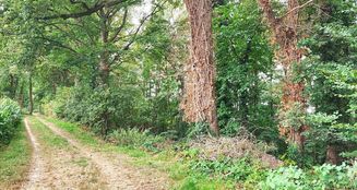 von_poll_real_estate_property_24452021_image_3