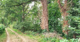 von_poll_real_estate_property_24452021_image_3