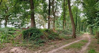von_poll_real_estate_property_24452021_image_1
