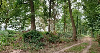 von_poll_real_estate_property_24452021_image_1