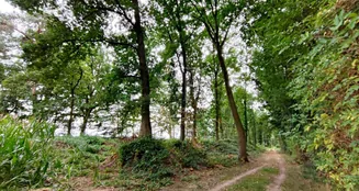 von_poll_real_estate_property_24452021_image_7