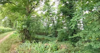 von_poll_real_estate_property_24452021_image_5