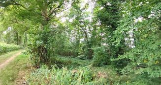 von_poll_real_estate_property_24452021_image_5