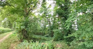 von_poll_real_estate_property_24452021_image_5