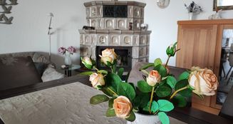 von_poll_real_estate_property_25452004_image_10