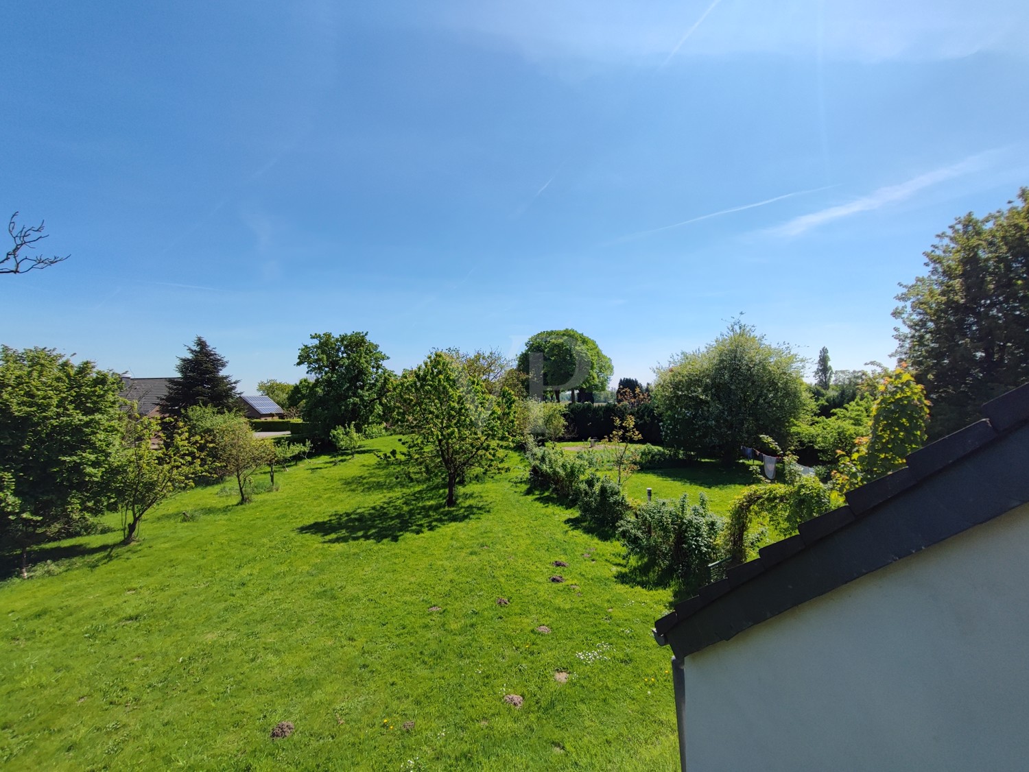 Blick in den Garten