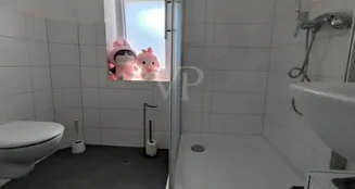 von_poll_real_estate_property_25452008_image_6