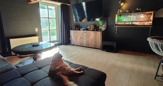 von_poll_real_estate_property_25452008_image_8