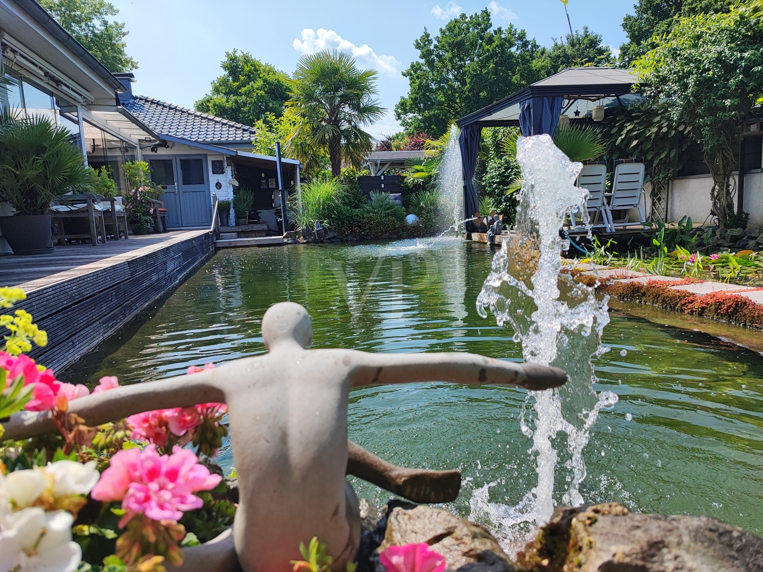 Blick auf den Schwimmteich