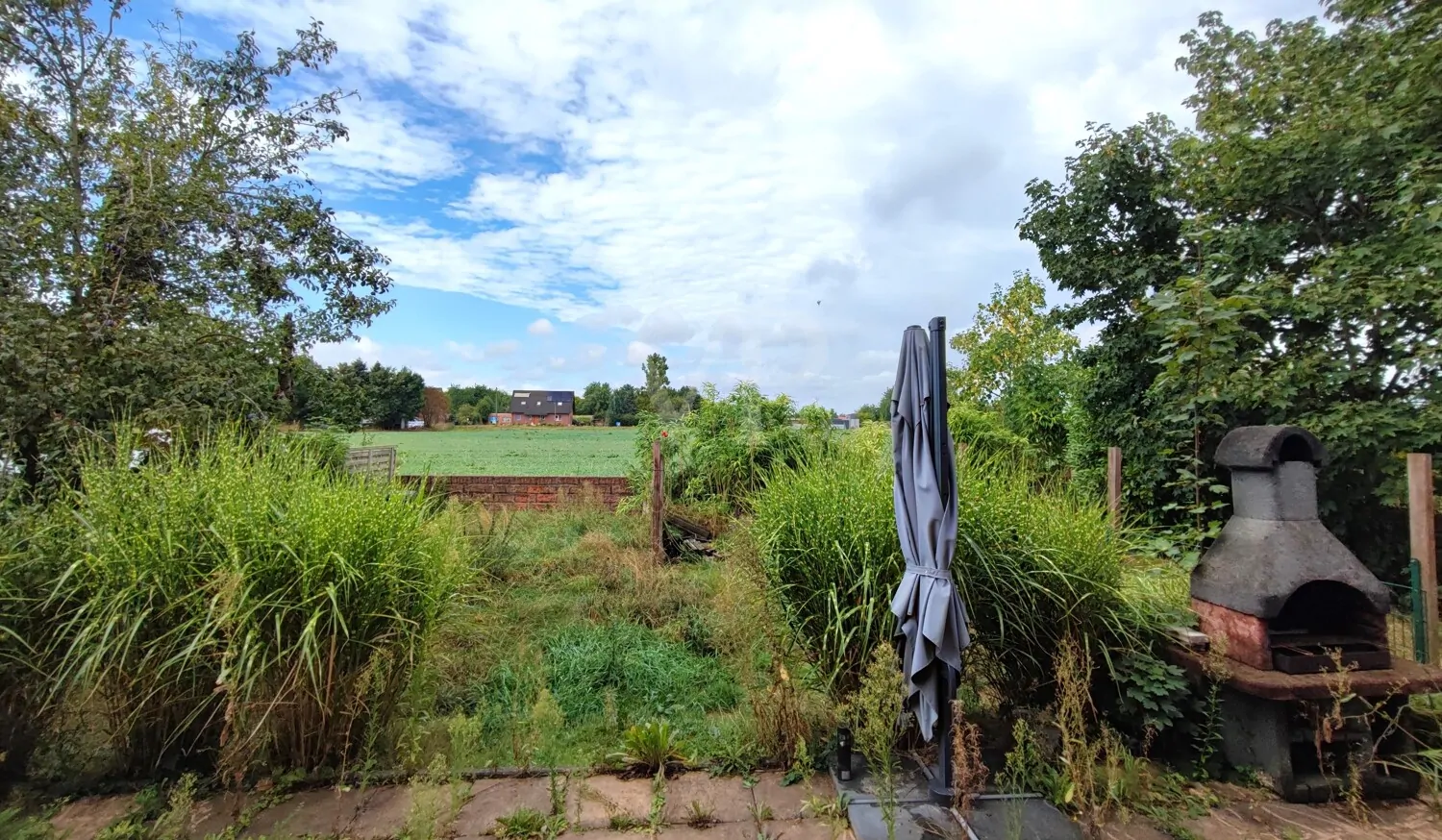 Garten (derzeitiger Zustand)