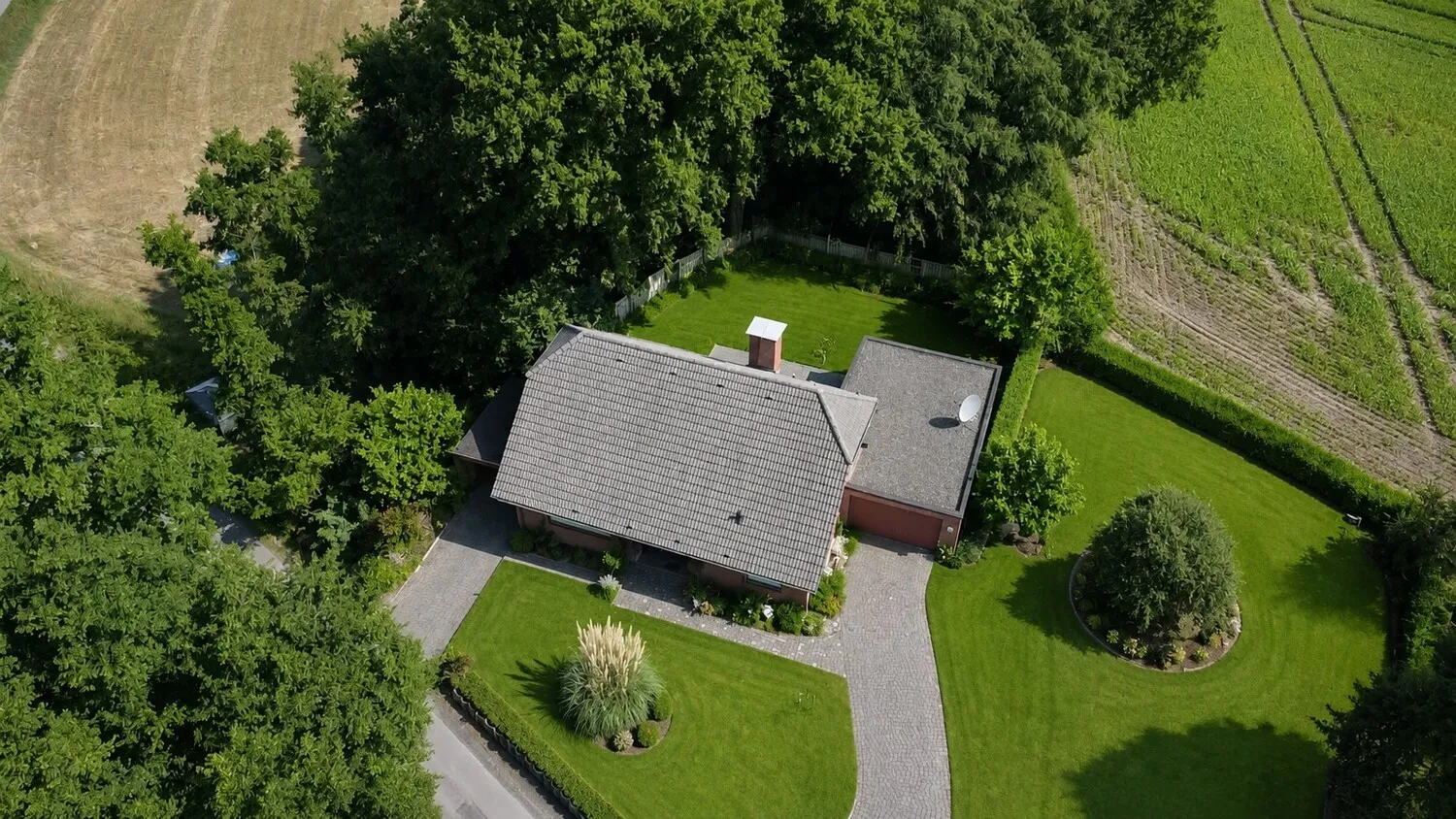 Sicht mit angrenzendem Wald