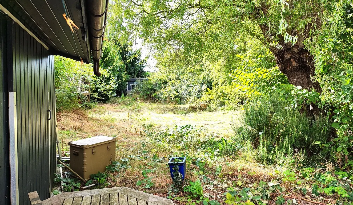 Blick in den Garten