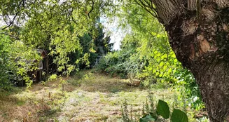 von_poll_real_estate_property_25452017_image_25