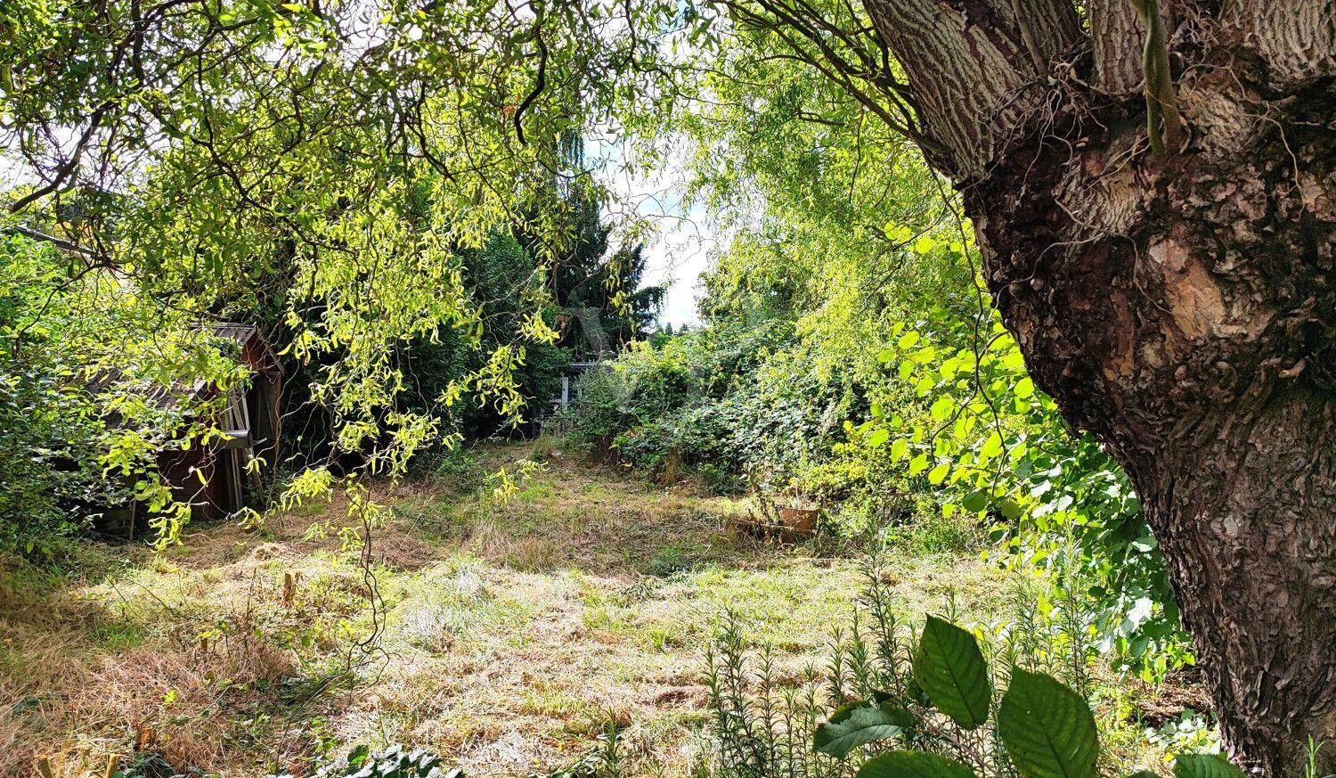 Blick in den Garten