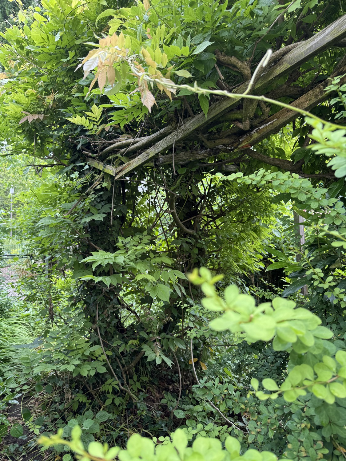 Garten Ansicht II