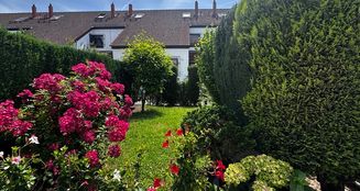 von_poll_real_estate_property_25001160_image_11