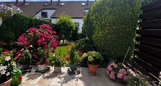 von_poll_real_estate_property_25001160_image_10