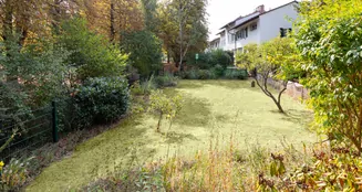 von_poll_real_estate_property_25001221_image_5