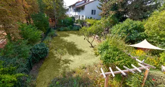 von_poll_real_estate_property_25001221_image_6