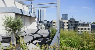 von_poll_real_estate_property_25001248_image_17