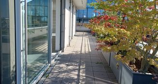 von_poll_real_estate_property_25001205_image_16