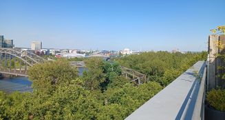 von_poll_real_estate_property_25001205_image_19