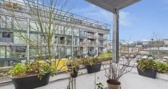 von_poll_real_estate_property_26400001_image_2