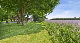 von_poll_real_estate_property_24400021_image_13