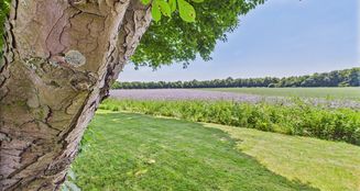 von_poll_real_estate_property_24400021_image_21